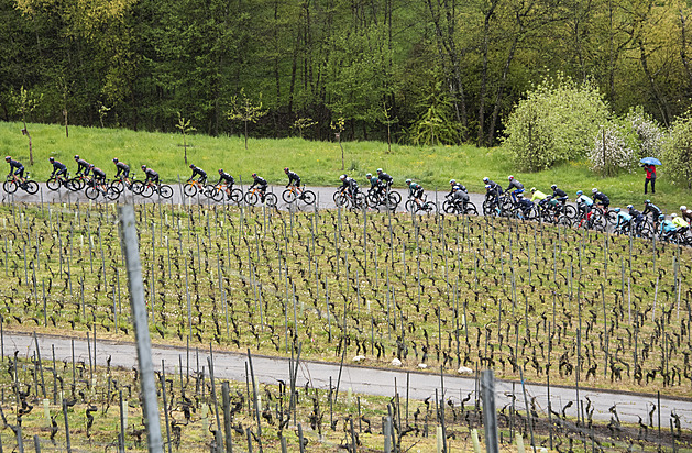 UCI vyloučila pět týmů z ženského závodu Kolem Romandie, odmítly GPS lokátory