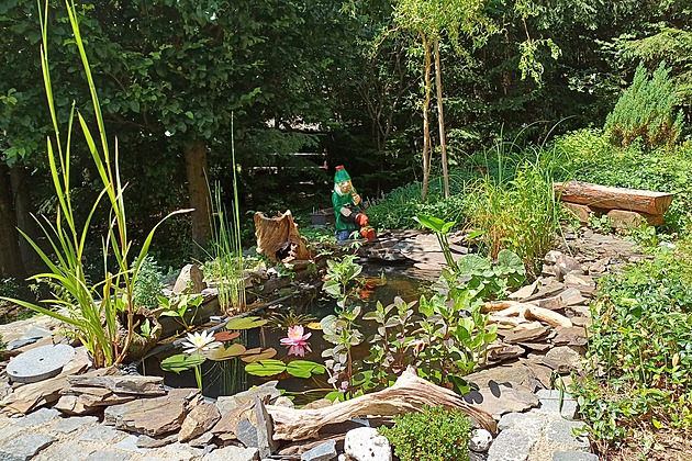 Zahradu v lese nelze oplotit, terorizují je srny i divočáci. Ale neměnili by