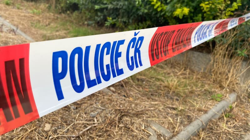 Místo tiché krádeže rozpoutali bezcitné násilí: Seniora v Chrasti podřízli kuchyňským nožem