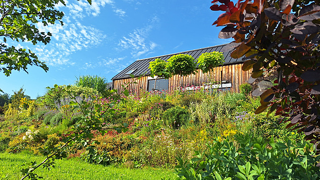 Praktikuje zahradní darwinismus, u domu v Jizerkách trávu změnila v příběh