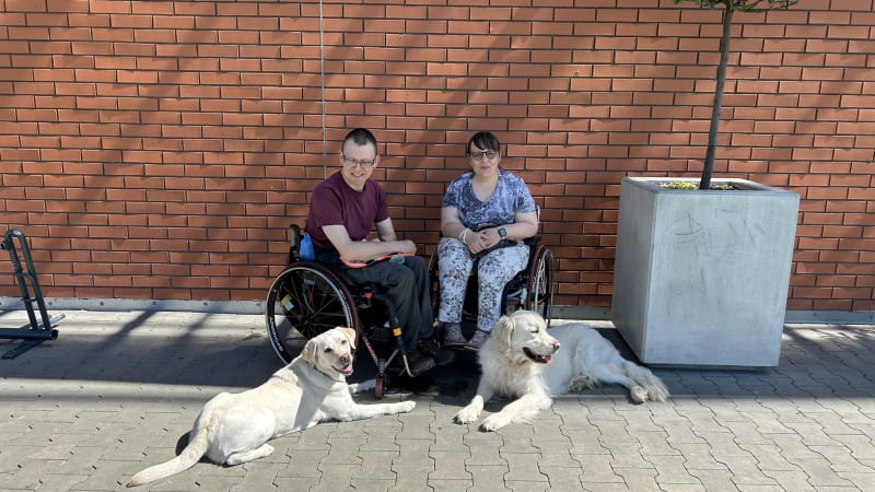 Pojí je vozík a láska. Manželé touží po druhém psím asistentovi, který by jim ulehčil život