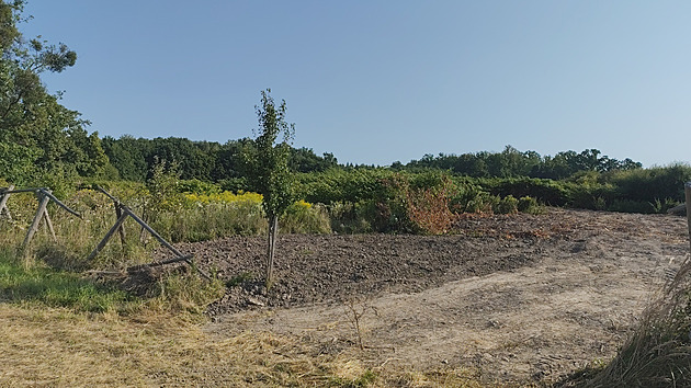 U lesa stále zůstává odpad, hejtman přesto ocenil obec za zvelebování prostoru