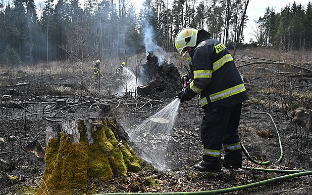 Všímavý muž s dronem navedl hasiče k požáru lesa, kouř zpozoroval na procházce
