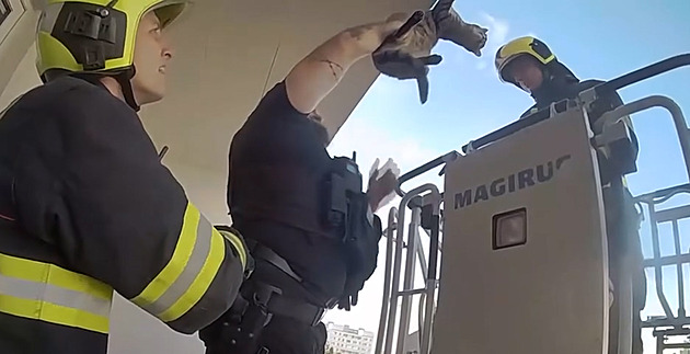 Kočka visela z balkónu, od pádu z pátého patra ji dělila pouze tlapka zamotaná v síti