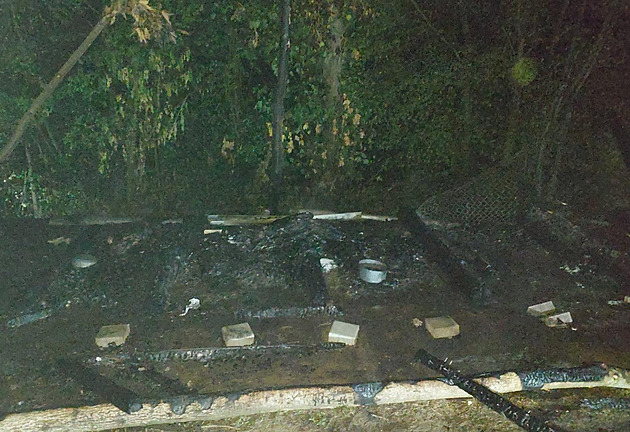 Ve žlutické chovné stanici uhořelo pět fen, kotce patrně někdo zapálil