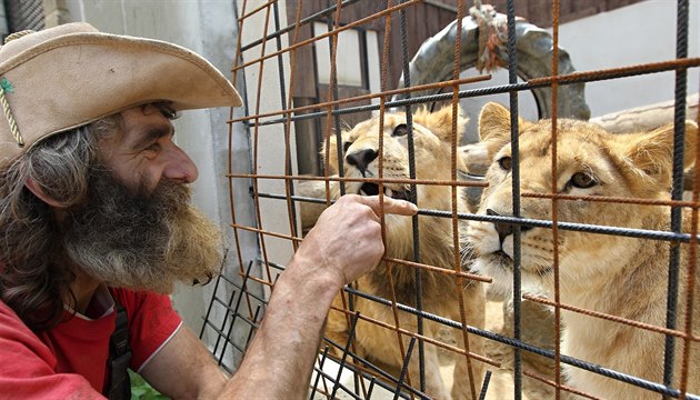Humpolec zabavil sto zvířat v soukromém chovu, nekontrolovaně tam množili tygry