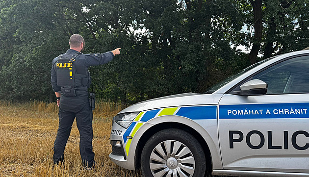 Z ohrady na Strakonicku utekl půltunový býk. Může být nebezpečný, varuje policie