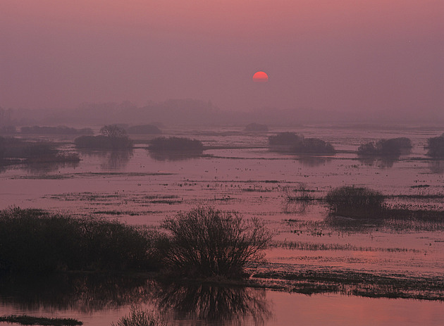Jak zastavit invazi Rusů? Obnovme bažiny, pomůžeme i klimatu, napadlo Evropany
