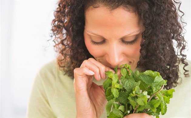 Pro svěží dech i na unavené nohy. Kouzelná máta má plno využití