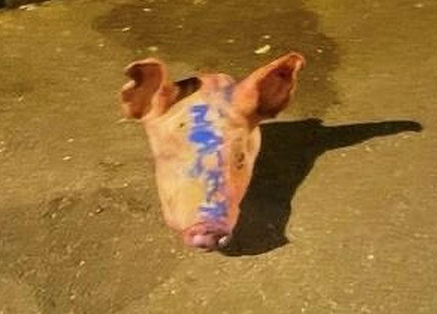 Prasečí hlavy u mešit měly ve Francii podnítit napětí. Stopa vede na východ Evropy