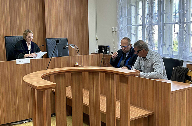 Údržbáře soudí za zapálení bazénu při likvidaci sršního hnízda, hrozí mu osm let