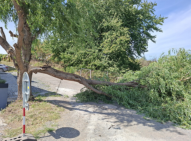 Na severovýchod Česka dorazí silný vítr. Meteorologové varují před zlomenými větvemi