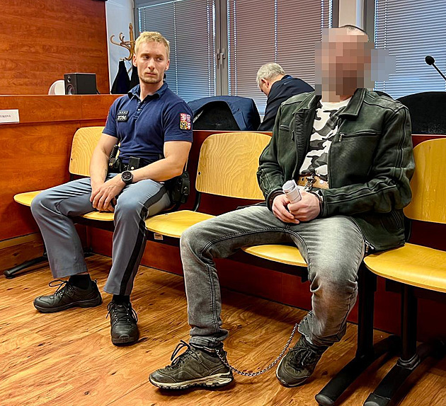 Měsíce poslouchal zvuky ze sluchátek. Za vraždu otce a dítěte má jít do detence