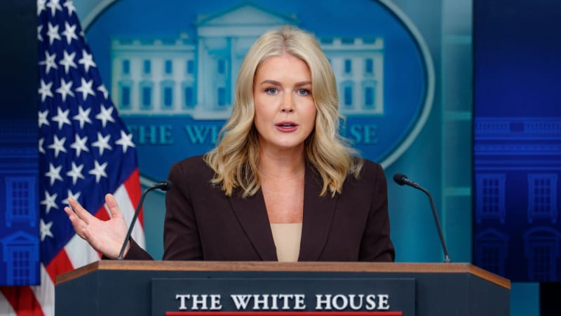 Kdo vybral Budapešť na summit s Putinem? Tvoje máma, odpověděli mluvčí Trumpa novináři