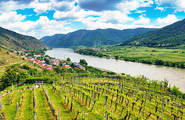 Dunaj s Dyjí lze propojit, potvrdili experti. Hrozbu představují invazivní druhy