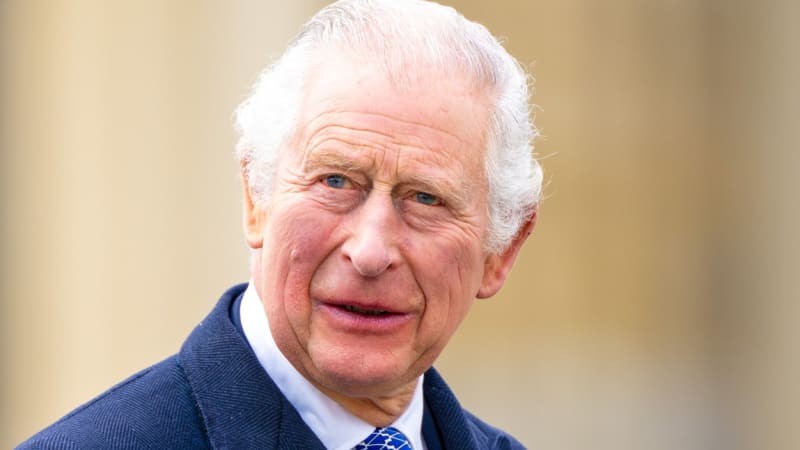 Zákon musí promluvit. Král Karel reaguje na zatčení bratra, očekává řádný a spravedlivý proces