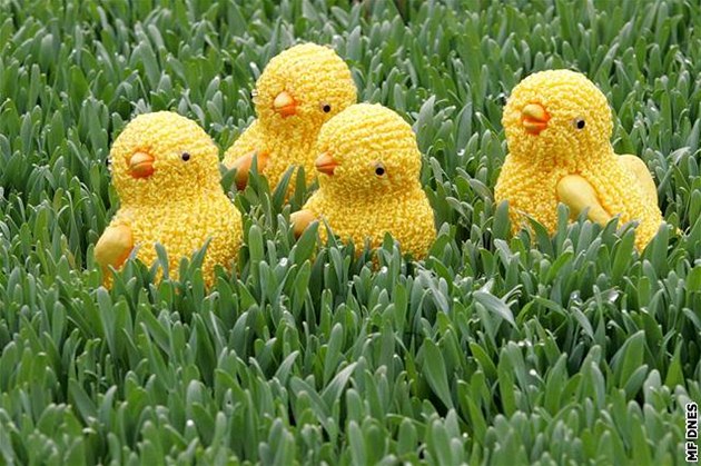 Jaro do bytu i na stůl: Jednoduché tipy pro husté velikonoční osení