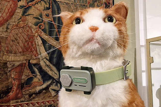 Svět se zbláznil. Pes vám může zatelefonovat, vy s ním koukat po fenách