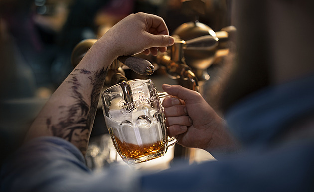 Od zrna k načepovanému půllitru. Prazdroj ukazuje cestu k pivu v přímém přenosu