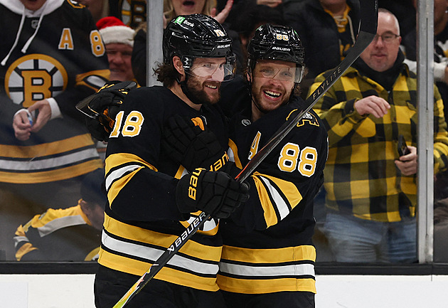 Posily z NHL na MS v hokeji: Kteří Češi by si mohli zahrát za národní tým?