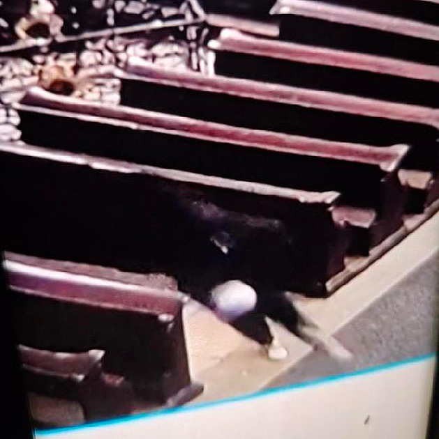 VIDEO: Tmavá postava utíká s lebkou v ruce. Pozná někdo zloděje svaté Zdislavy?