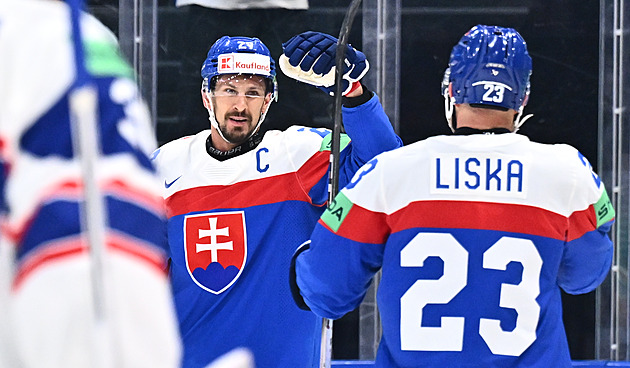Slovensko - Norsko 2:1. Sousedy držel brankář Hlavaj, výhru vystřelil Hrivík