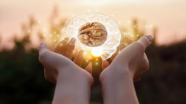 MIND dieta: Odborníci sestavili jídelníček, který zpomaluje stárnutí mozku a pomáhá paměti
