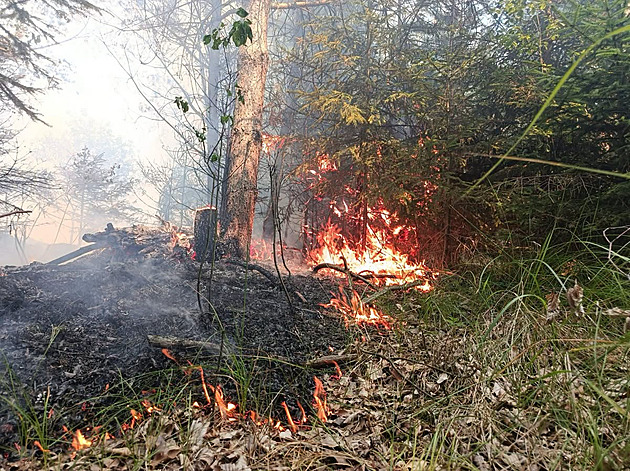 Smog, některá onemocnění i riziko požárů. Česko trápí komplikace související s vedry
