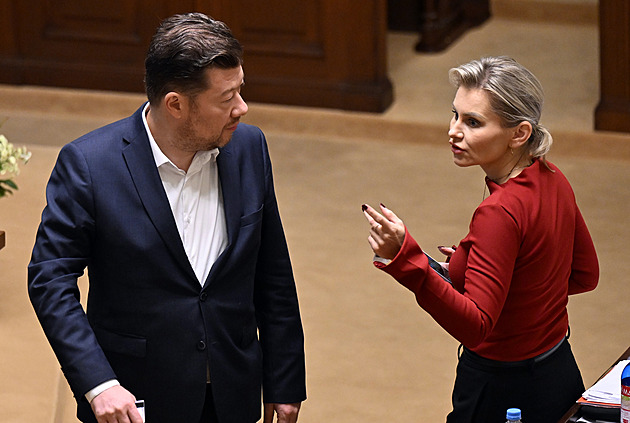 Poslanci začnou jednat o návrhu zmrazit platy politiků až do roku 2030